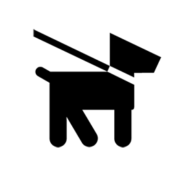 Chien acceptés Chien acceptés
